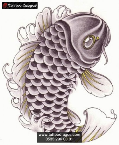 Koi Japon Balık