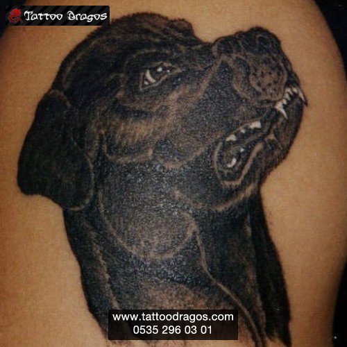 Köpek Tattoo