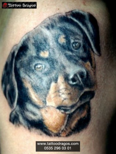 Köpek Tattoo