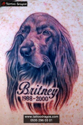 Köpek Tattoo