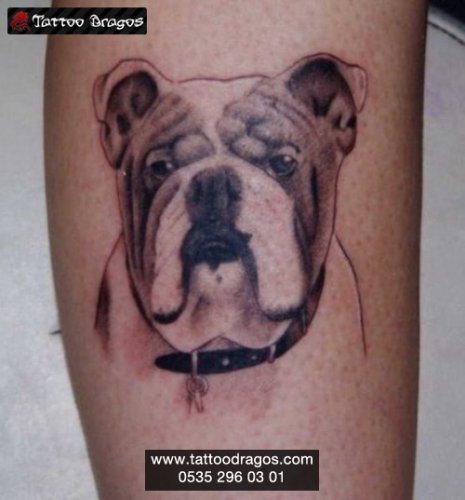 Köpek Tattoo