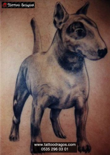 Köpek Tattoo