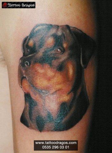 Köpek Tattoo