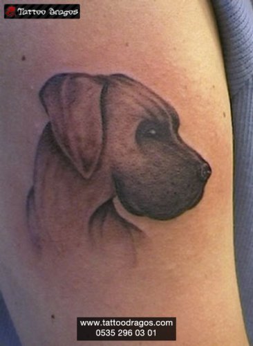 Köpek Tattoo