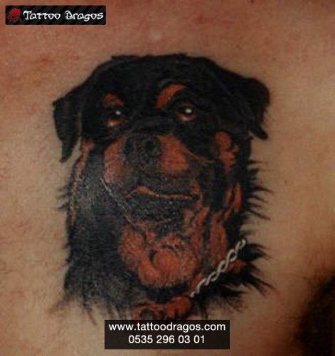 Köpek Tattoo