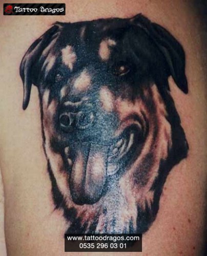 Köpek Tattoo