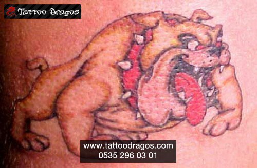 Köpek Tattoo