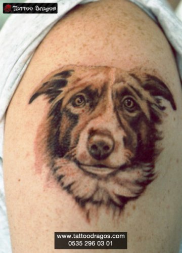 Köpek Tattoo