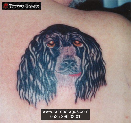 Köpek Tattoo