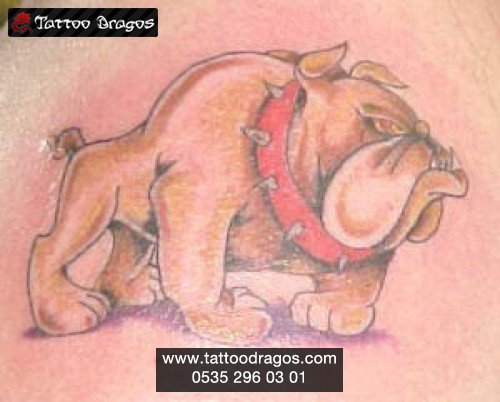 Köpek Tattoo