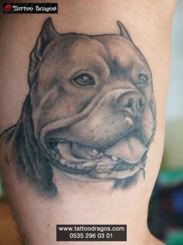 Köpek Tattoo