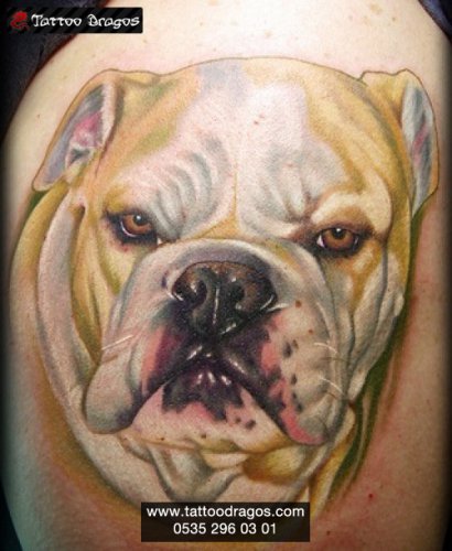 Köpek Tattoo