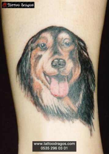 Köpek Tattoo