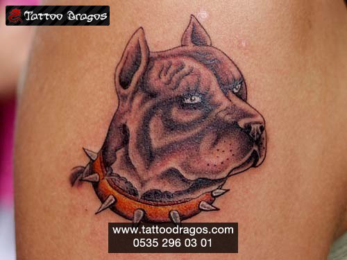 Köpek Tattoo