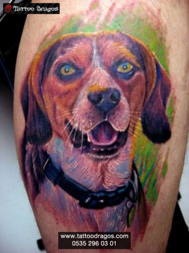 Köpek Tattoo