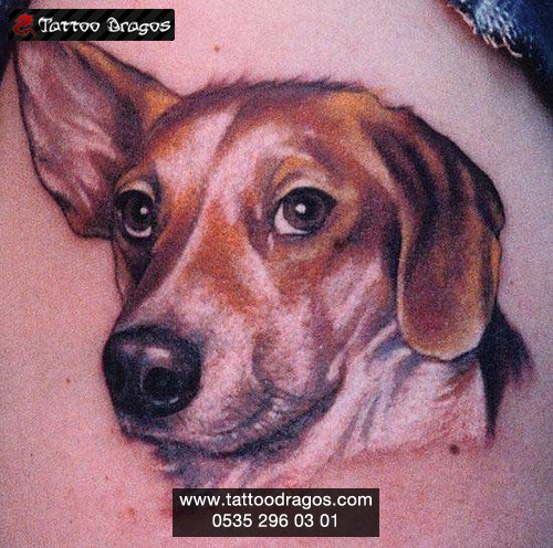 Köpek Tattoo