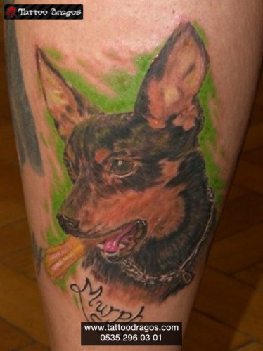 Köpek Chivava Tattoo