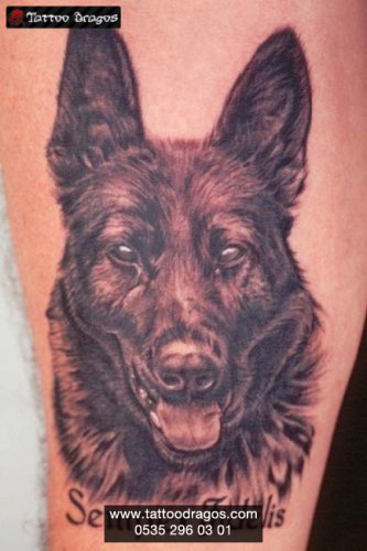 Köpek Kurt Tattoo
