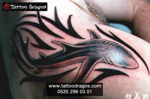 Köpekbalığı Tattoo