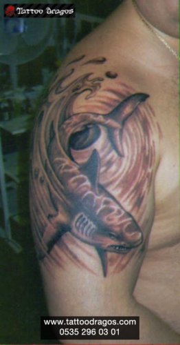 Köpekbalığı Tattoo