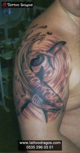 Köpekbalığı Tattoo