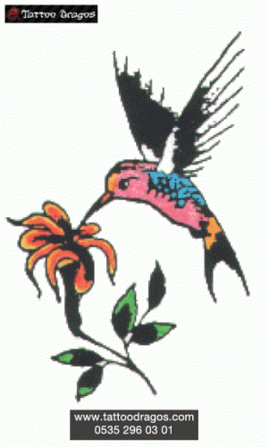Kuş Çiçek