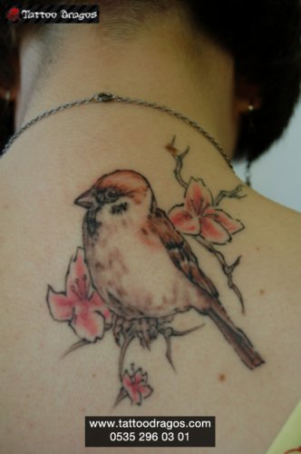 Kuş İspinoz Tattoo