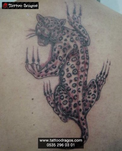 Leopar Tattoo