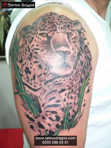 Leopar Tattoo