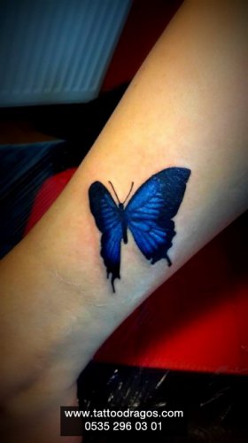 Mavi Kelebek Tattoo