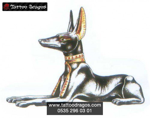 Mısır Firavun Köpek
