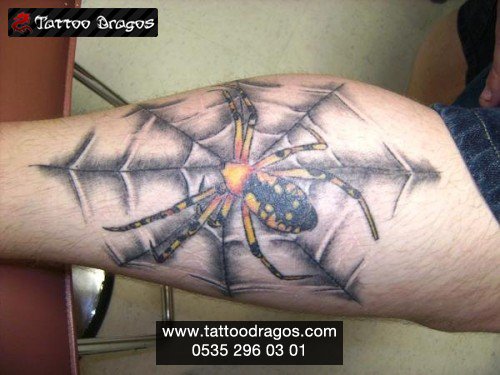 Örümcek Ağı Tattoo