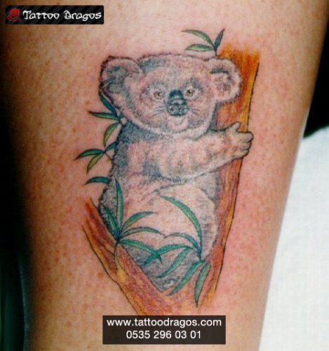 Panda Ayı Tattoo