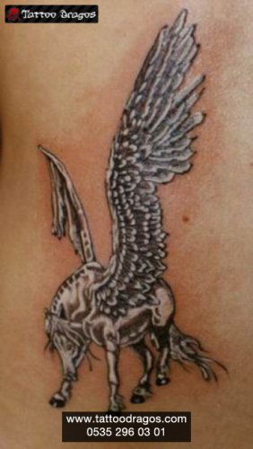 Pegasus Tattoo