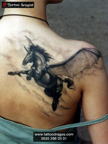 Pegasus Tattoo