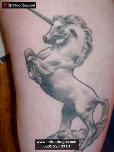 Pegasus Tattoo