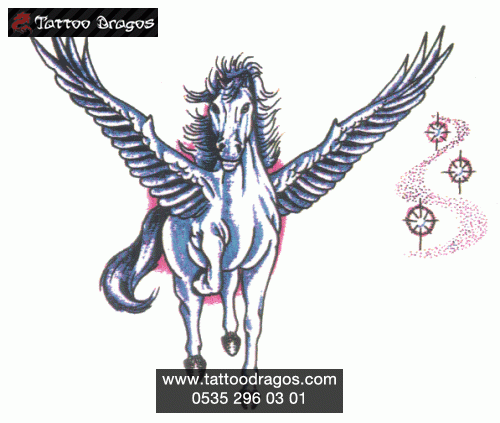 Pegasus At