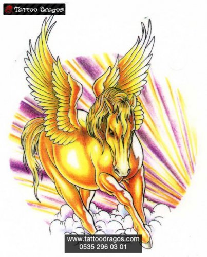 Pegasus At