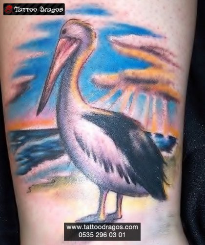 Pelikan Tattoo