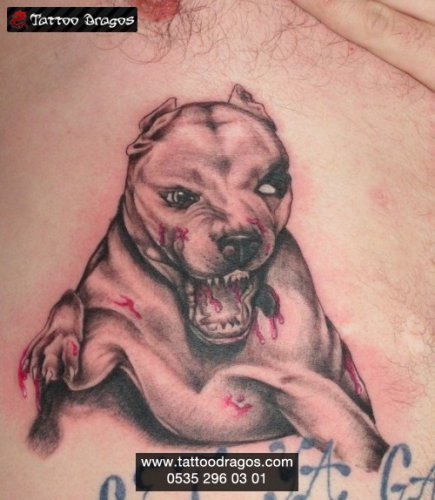 Pitbull Tattoo