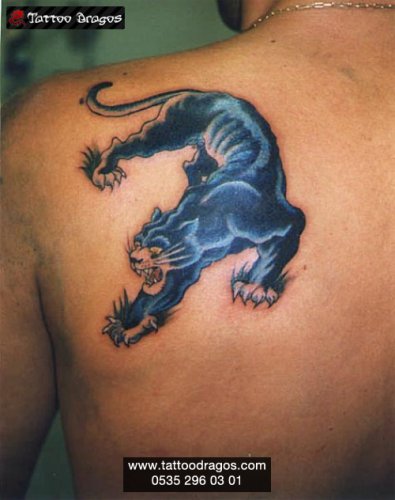 Puma Tattoo