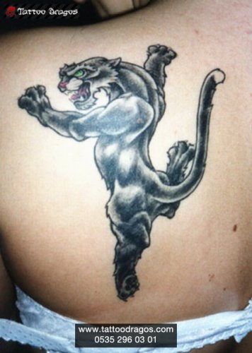 Puma Tattoo