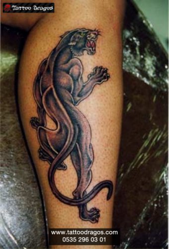 Puma Tattoo