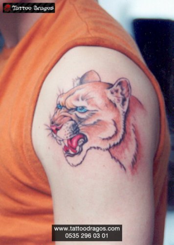 Puma Tattoo