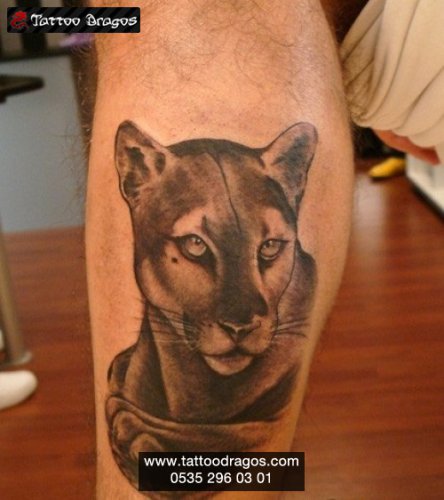 Puma Tattoo