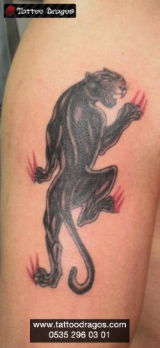 Puma Tattoo