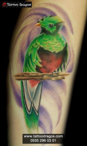 Renkli Kuş Tattoo