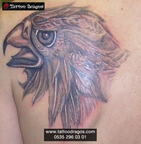 Şahin Tattoo