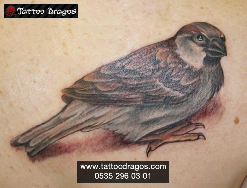 Serçe Kuş Tattoo