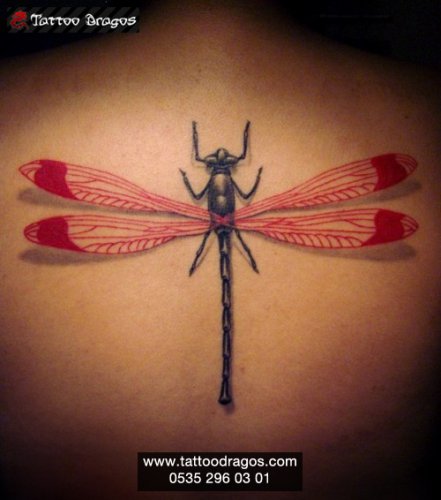 Sivrisinek Tattoo